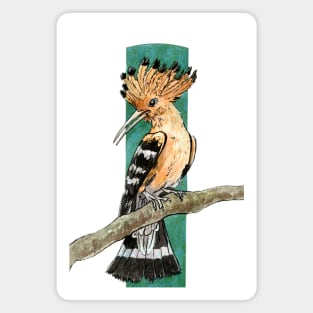 Hoopoe Magnet